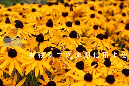 有钱花二次逾期信用卡会停吗 有钱花二次逾期信用卡会停吗