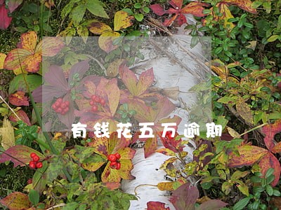 有钱花五万逾期 有钱花五万逾期