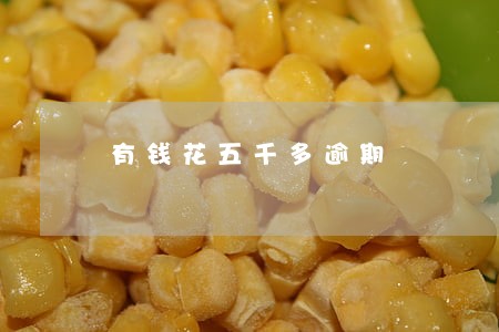 有钱花五千多逾期 有钱花五千多逾期