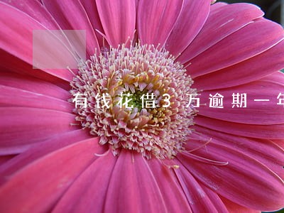 有钱花借3万逾期一年应还多少