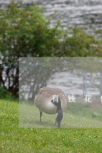 有钱花借6万逾期3个月