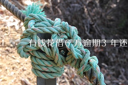 有钱花借6万逾期3年还10万 有钱花借6万逾期3年还10万