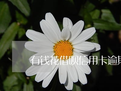 有钱花借呗信用卡逾期 有钱花借呗信用卡逾期