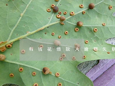 有钱花借款人逾期失联了怎么办 有钱花借款人逾期失联了怎么办
