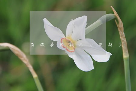 有钱花借款几万逾期了