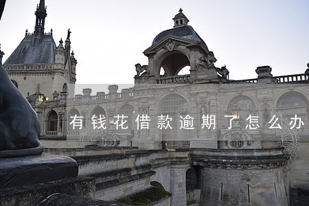 有钱花借款逾期了怎么办 有钱花借款逾期了怎么办