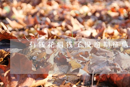 有钱花借钱了没逾期征信会通过吗