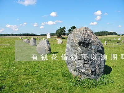 有钱花借钱可以逾期吗 有钱花借钱可以逾期吗