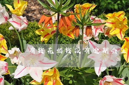 有钱花借钱没有逾期会上征信吗 有钱花借钱没有逾期会上征信吗