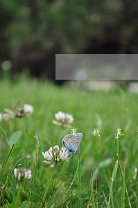 有钱花借钱逾期两天