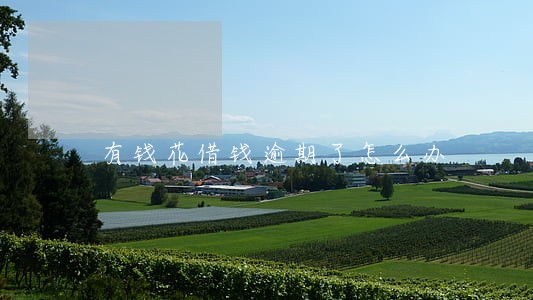 有钱花借钱逾期了怎么办 有钱花借钱逾期了怎么办