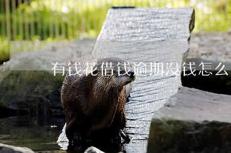 有钱花借钱逾期没钱怎么办 有钱花借钱逾期没钱怎么办