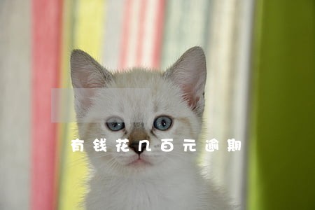有钱花几百元逾期 有钱花几百元逾期