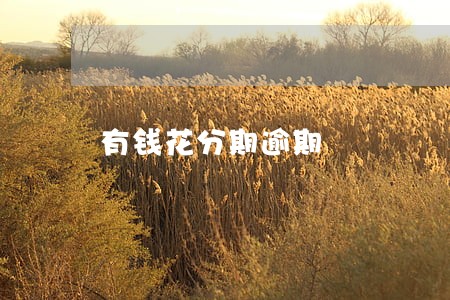 有钱花分期逾期 有钱花分期逾期