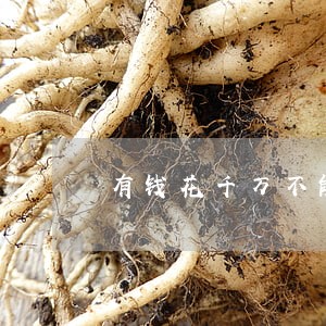 有钱花千万不能逾期