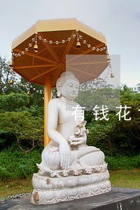 有钱花协商还款可以只还本金 有钱花协商还款可以只还本金