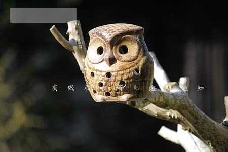 有钱花去哪儿逾期通知