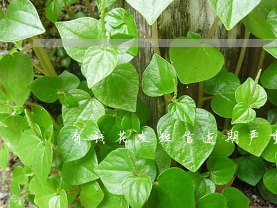 有钱花发短信逾期严重