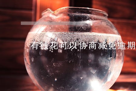 有钱花可以协商减免逾期罚息么 有钱花可以协商减免逾期罚息么