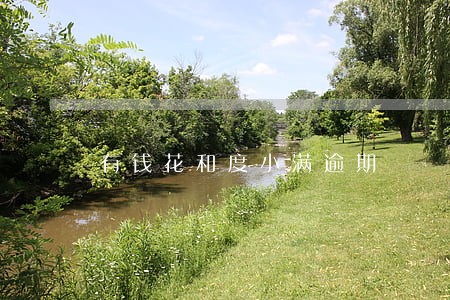 有钱花和度小满逾期 有钱花和度小满逾期
