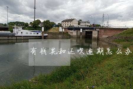 有钱花和还呗逾期怎么办 有钱花和还呗逾期怎么办