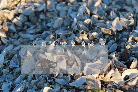 有钱花哪里看逾期