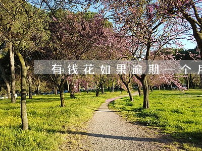 有钱花如果逾期一个月要多少利息 有钱花如果逾期一个月要多少利息