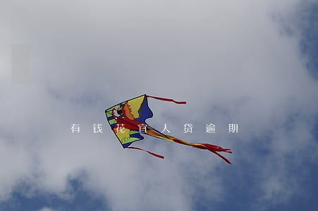 有钱花宜人贷逾期