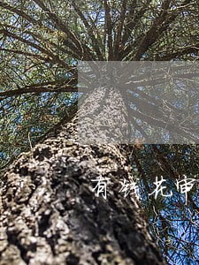 有钱花审核不严逾期失联怎么办 有钱花审核不严逾期失联怎么办