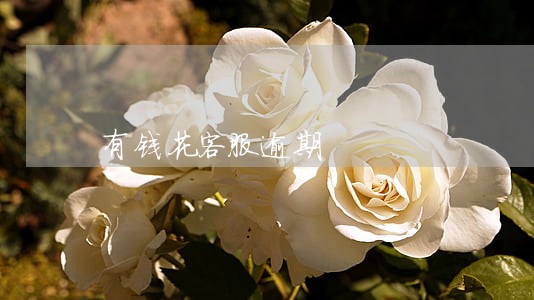有钱花客服逾期 有钱花客服逾期