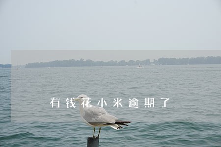 有钱花小米逾期了 有钱花小米逾期了