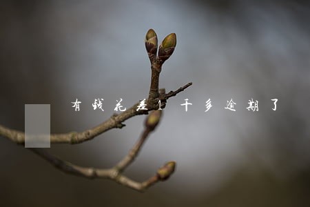 有钱花差1千多逾期了 有钱花差1千多逾期了