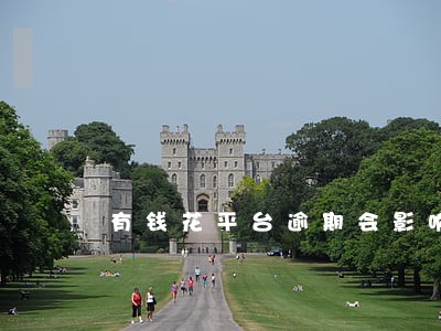 有钱花平台逾期会影响征信