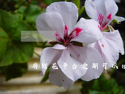 有钱花平台逾期可以协商吗 有钱花平台逾期可以协商吗