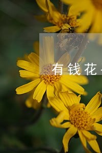 有钱花平台逾期后能借吗 有钱花平台逾期后能借吗