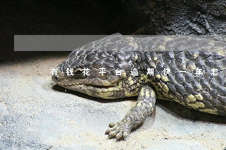 有钱花平台逾期快一年怎么办