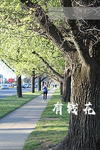 有钱花怎么查自己有没有逾期 有钱花怎么查自己有没有逾期