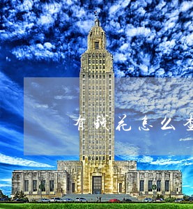 有钱花怎么查逾期没 有钱花怎么查逾期没
