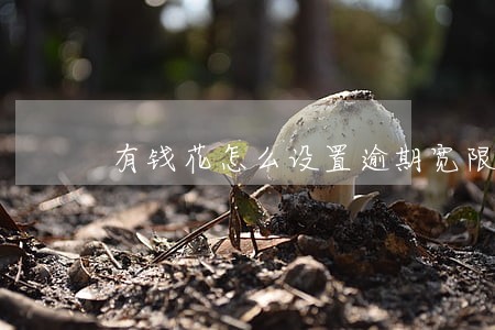 有钱花怎么设置逾期宽限