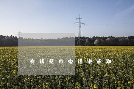 有钱花打电话说逾期 有钱花打电话说逾期