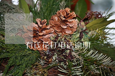 有钱花打电话逾期 有钱花打电话逾期