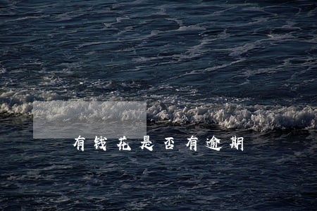 有钱花是否有逾期 有钱花是否有逾期