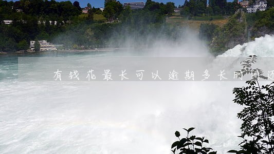 有钱花最长可以逾期多长时间还款 有钱花最长可以逾期多长时间还款