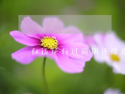有钱花有过逾期还能借出来吗 有钱花有过逾期还能借出来吗