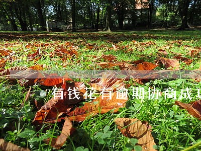 有钱花有逾期协商成功的么 有钱花有逾期协商成功的么