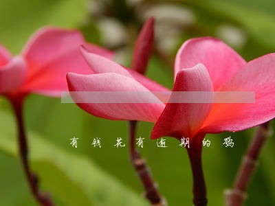有钱花有逾期的嘛 有钱花有逾期的嘛