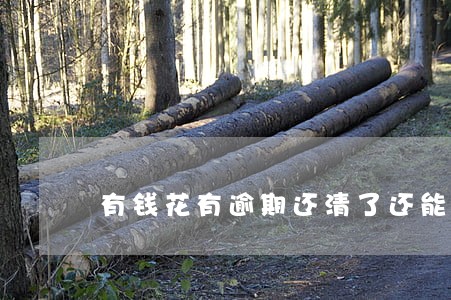 有钱花有逾期还清了还能再借吗
