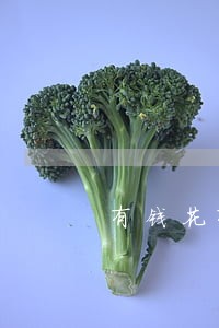 有钱花有逾期还能用吗 有钱花有逾期还能用吗