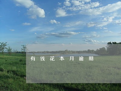 有钱花本月逾期 有钱花本月逾期