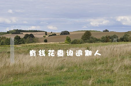 有钱花查询逾期人 有钱花查询逾期人